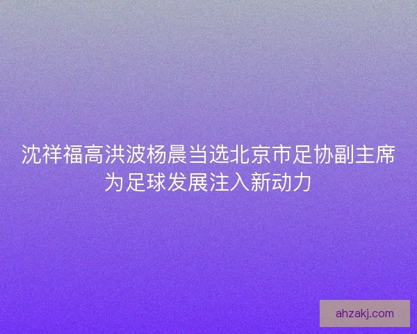 沈祥福高洪波杨晨当选北京市足协副主席为足球发展注入新动力