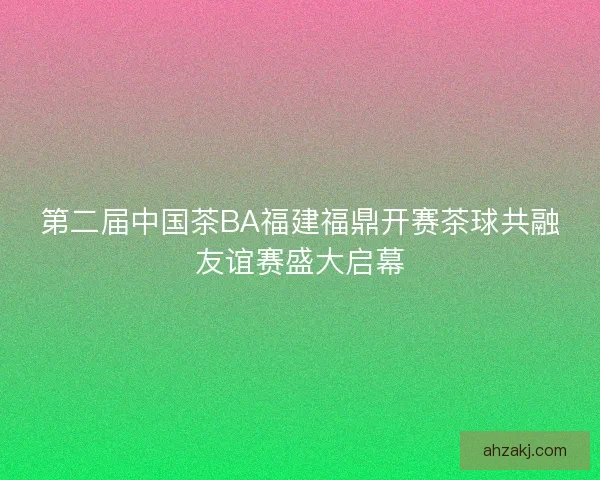第二届中国茶BA福建福鼎开赛茶球共融友谊赛盛大启幕