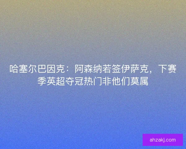 哈塞尔巴因克：阿森纳若签伊萨克，下赛季英超夺冠热门非他们莫属